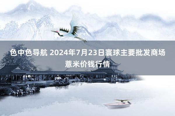 色中色导航 2024年7月23日寰球主要批发商场薏米价钱行情