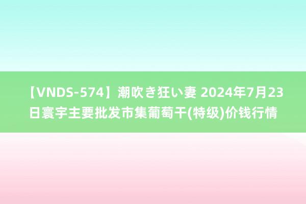 【VNDS-574】潮吹き狂い妻 2024年7月23日寰宇主要批发市集葡萄干(特级)价钱行情