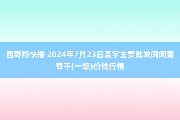 西野翔快播 2024年7月23日寰宇主要批发阛阓葡萄干(一级)价钱行情