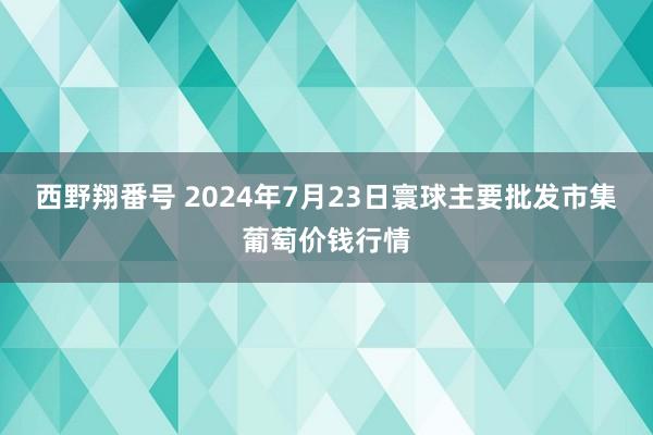 西野翔番号 2024年7月23日寰球主要批发市集葡萄价钱行情