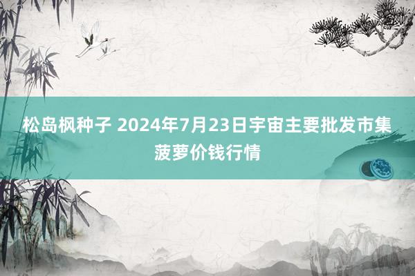 松岛枫种子 2024年7月23日宇宙主要批发市集菠萝价钱行情