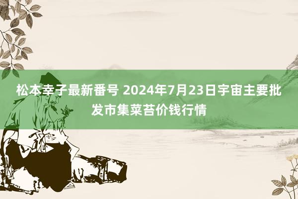 松本幸子最新番号 2024年7月23日宇宙主要批发市集菜苔价钱行情