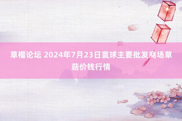 草榴论坛 2024年7月23日寰球主要批发商场草菇价钱行情