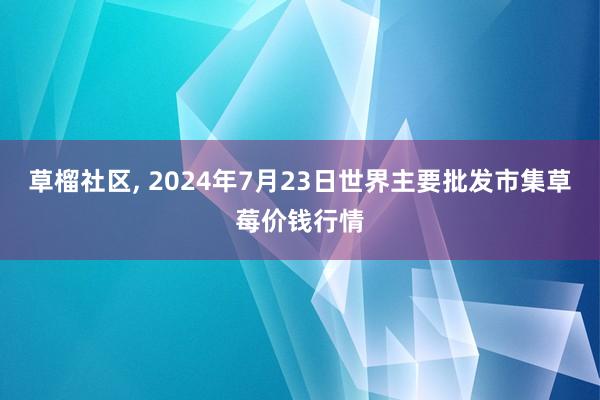 草榴社区， 2024年7月23日世界主要批发市集草莓价钱行情