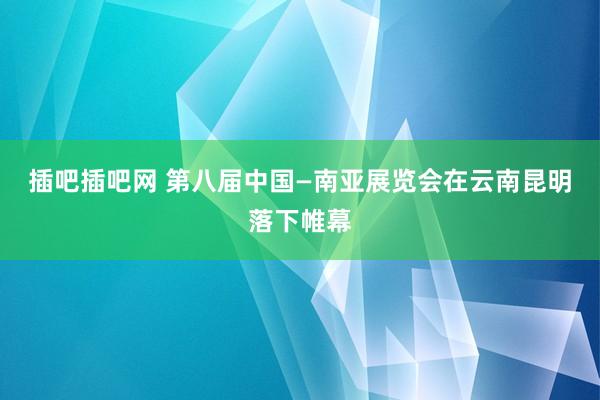 插吧插吧网 第八届中国—南亚展览会在云南昆明落下帷幕