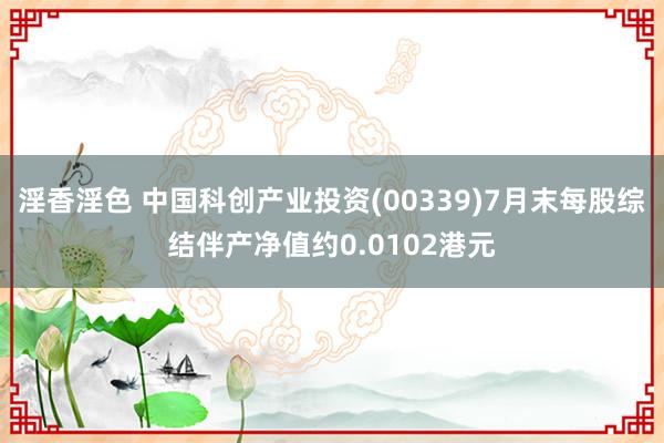 淫香淫色 中国科创产业投资(00339)7月末每股综结伴产净值约0.0102港元