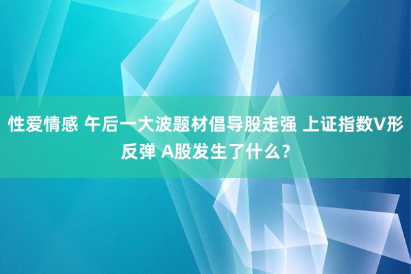 性爱情感 午后一大波题材倡导股走强 上证指数V形反弹 A股发生了什么？