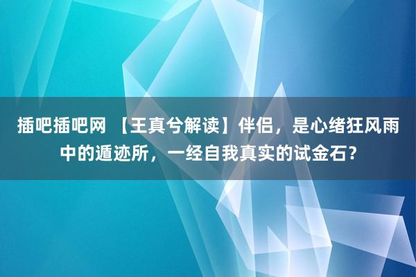 插吧插吧网 【王真兮解读】伴侣，是心绪狂风雨中的遁迹所，一经自我真实的试金石？