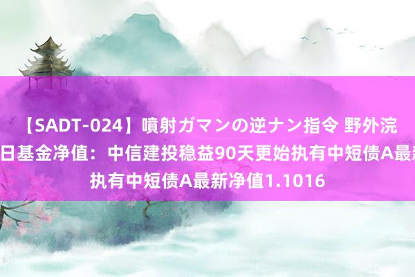 【SADT-024】噴射ガマンの逆ナン指令 野外浣腸悪戯 8月14日基金净值：中信建投稳益90天更始执有中短债A最新净值1.1016