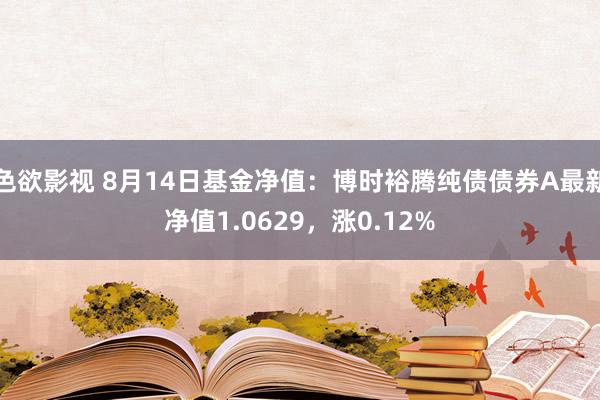 色欲影视 8月14日基金净值：博时裕腾纯债债券A最新净值1.0629，涨0.12%