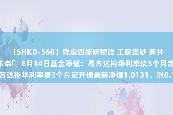 【SHKD-560】残虐四姉妹物語 工藤美紗 蒼井さくら 中谷美結 佐々木奈々 8月14日基金净值：易方达裕华利率债3个月定开债最新净值1.0131，涨0.1%