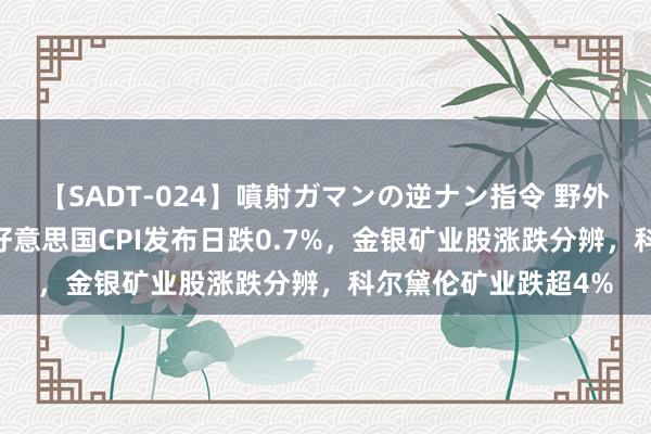 【SADT-024】噴射ガマンの逆ナン指令 野外浣腸悪戯 现货金在好意思国CPI发布日跌0.7%，金银矿业股涨跌分辨，科尔黛伦矿业跌超4%