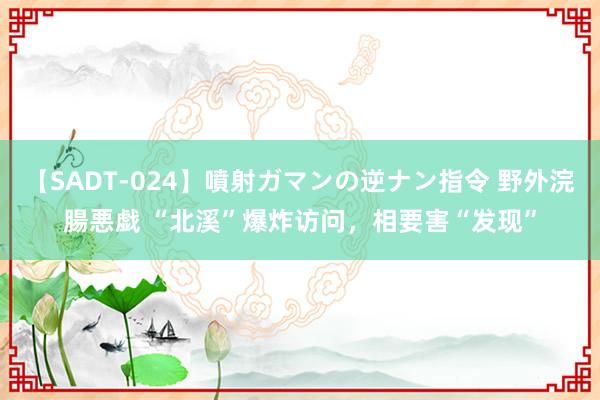 【SADT-024】噴射ガマンの逆ナン指令 野外浣腸悪戯 “北溪”爆炸访问，相要害“发现”