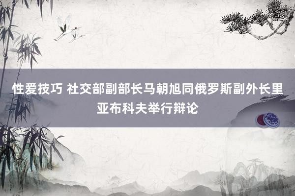 性爱技巧 社交部副部长马朝旭同俄罗斯副外长里亚布科夫举行辩论