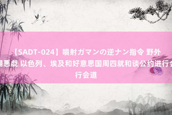 【SADT-024】噴射ガマンの逆ナン指令 野外浣腸悪戯 以色列、埃及和好意思国周四就和谈公约进行会道