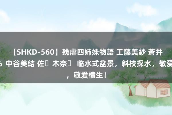 【SHKD-560】残虐四姉妹物語 工藤美紗 蒼井さくら 中谷美結 佐々木奈々 临水式盆景，斜枝探水，敬爱横生！