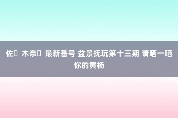 佐々木奈々最新番号 盆景抚玩第十三期 请晒一晒你的黄杨