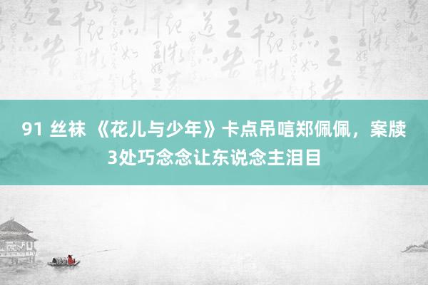 91 丝袜 《花儿与少年》卡点吊唁郑佩佩，案牍3处巧念念让东说念主泪目