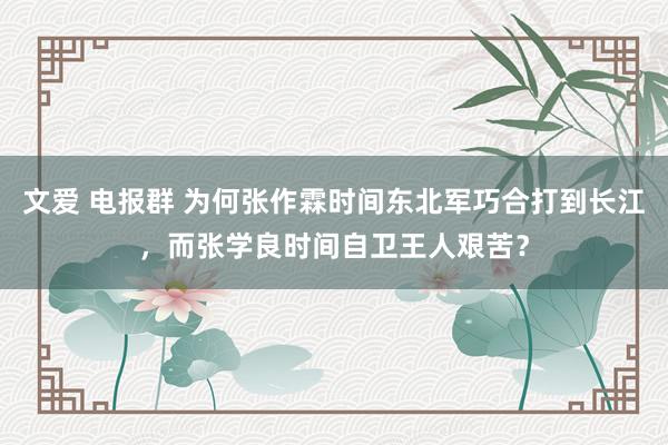 文爱 电报群 为何张作霖时间东北军巧合打到长江，而张学良时间自卫王人艰苦？