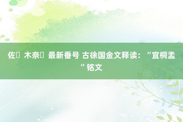 佐々木奈々最新番号 古徐国金文释读：“宜桐盂”铭文