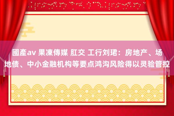 國產av 果凍傳媒 肛交 工行刘珺：房地产、场地债、中小金融机构等要点鸿沟风险得以灵验管控