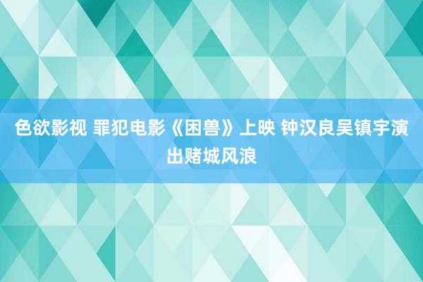 色欲影视 罪犯电影《困兽》上映 钟汉良吴镇宇演出赌城风浪