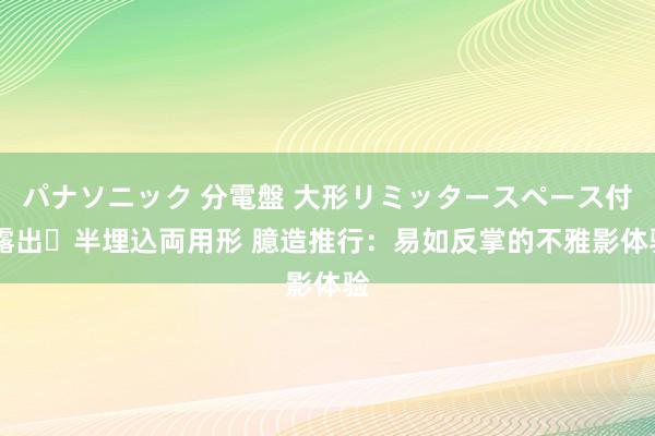 パナソニック 分電盤 大形リミッタースペース付 露出・半埋込両用形 臆造推行：易如反掌的不雅影体验