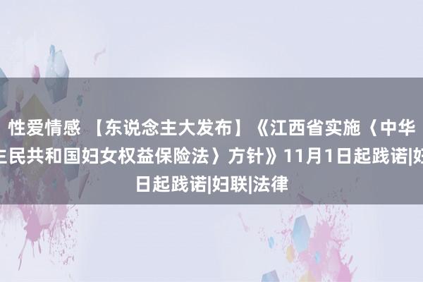 性爱情感 【东说念主大发布】《江西省实施〈中华东说念主民共和国妇女权益保险法〉方针》11月1日起践诺|妇联|法律